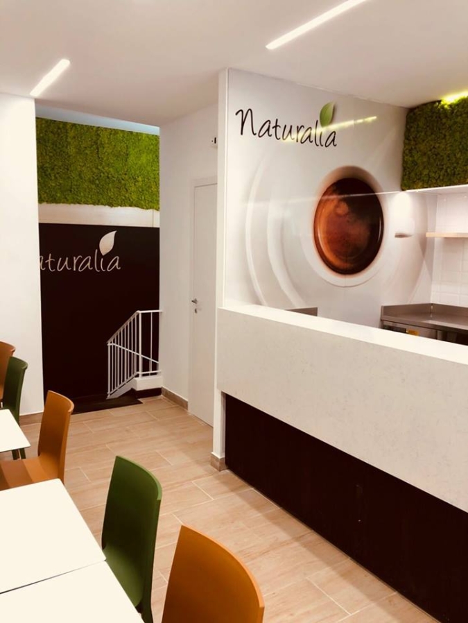 arredamento gelateria 09 fornitura progetto interni naturalia